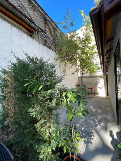 Appartement Victoriei Light&comfort *