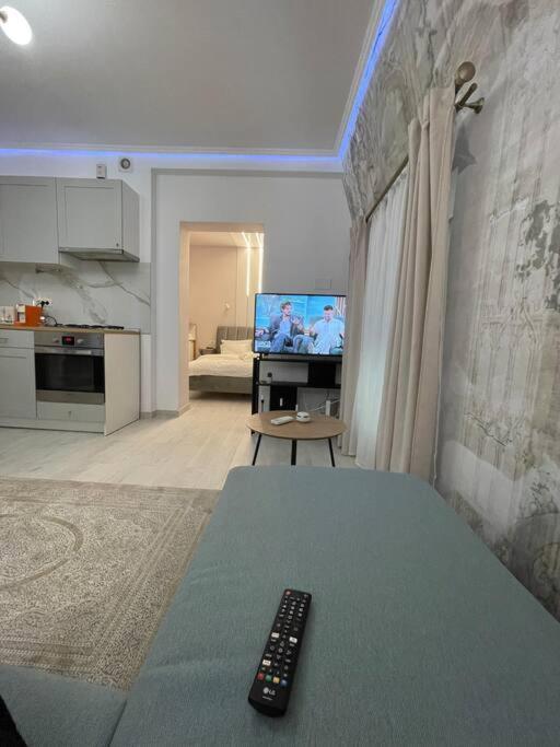 Apartament Victoriei Light&comfort *